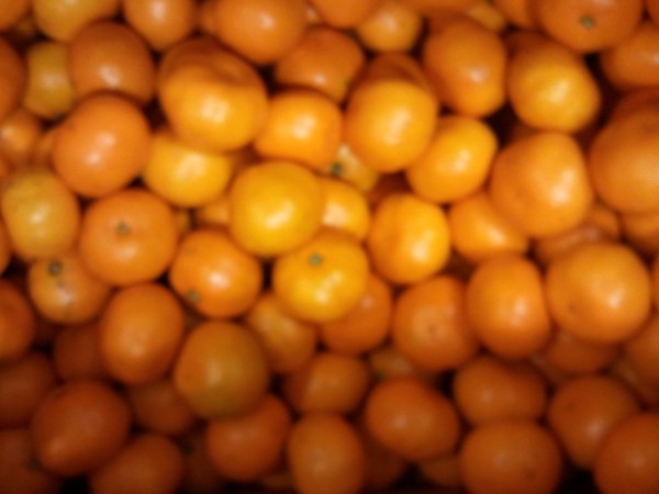 121206_macdentist175949.jpg